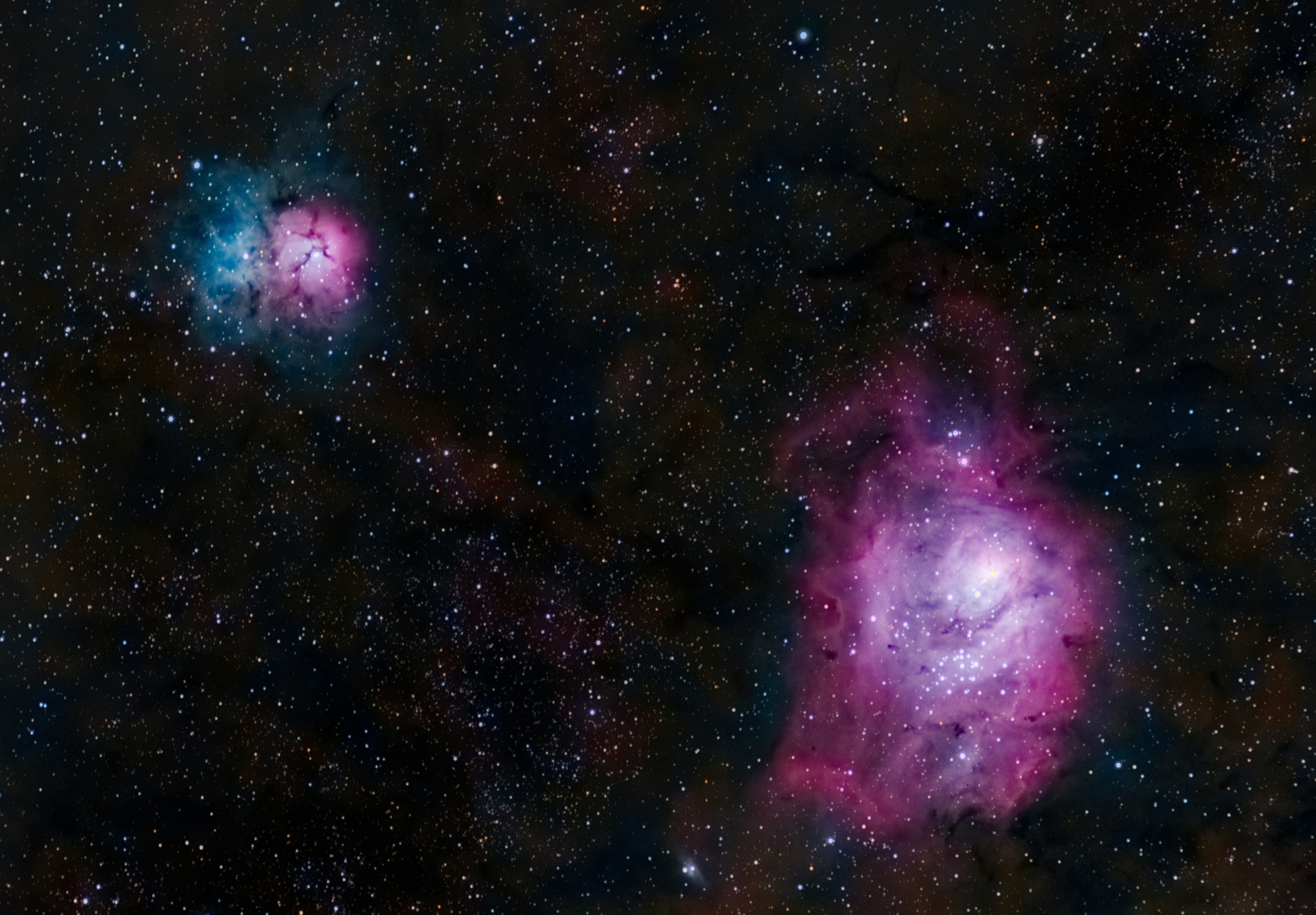 平石 葵衣のプロフィール画像